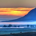 Foggy Morning