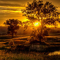 Golden Hour
