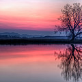 Smoky Sunrise