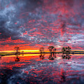 Scarlet Fishing Hole Sunrise